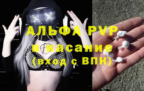 эйфоретик Ладушкин