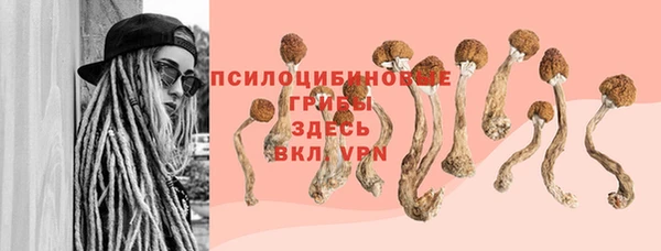 spice Лагань