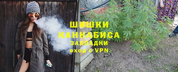 эйфоретик Ладушкин