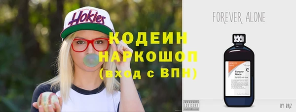 spice Лагань