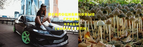 кокс Лабытнанги
