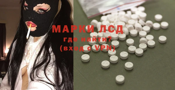 spice Лагань