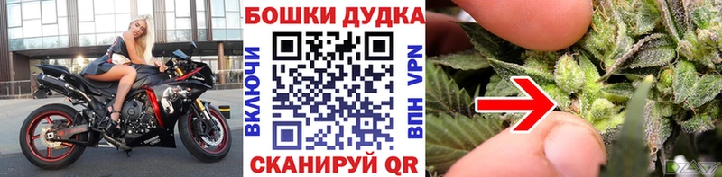 Каннабис конопля  Хадыженск 